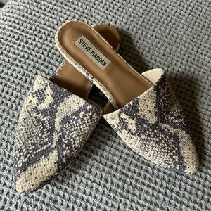 Snakeskin Steve Madden mules